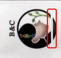 Inspecting Aluminum Product Packaging