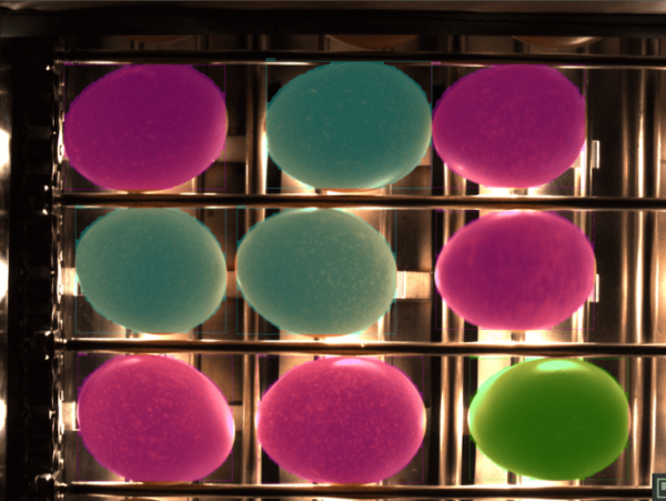 classification of eggs on a production line using AI