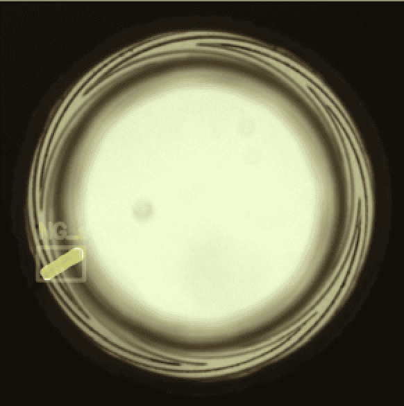 Foreign object detected by AI Defective bearing with foreign object detected by AI