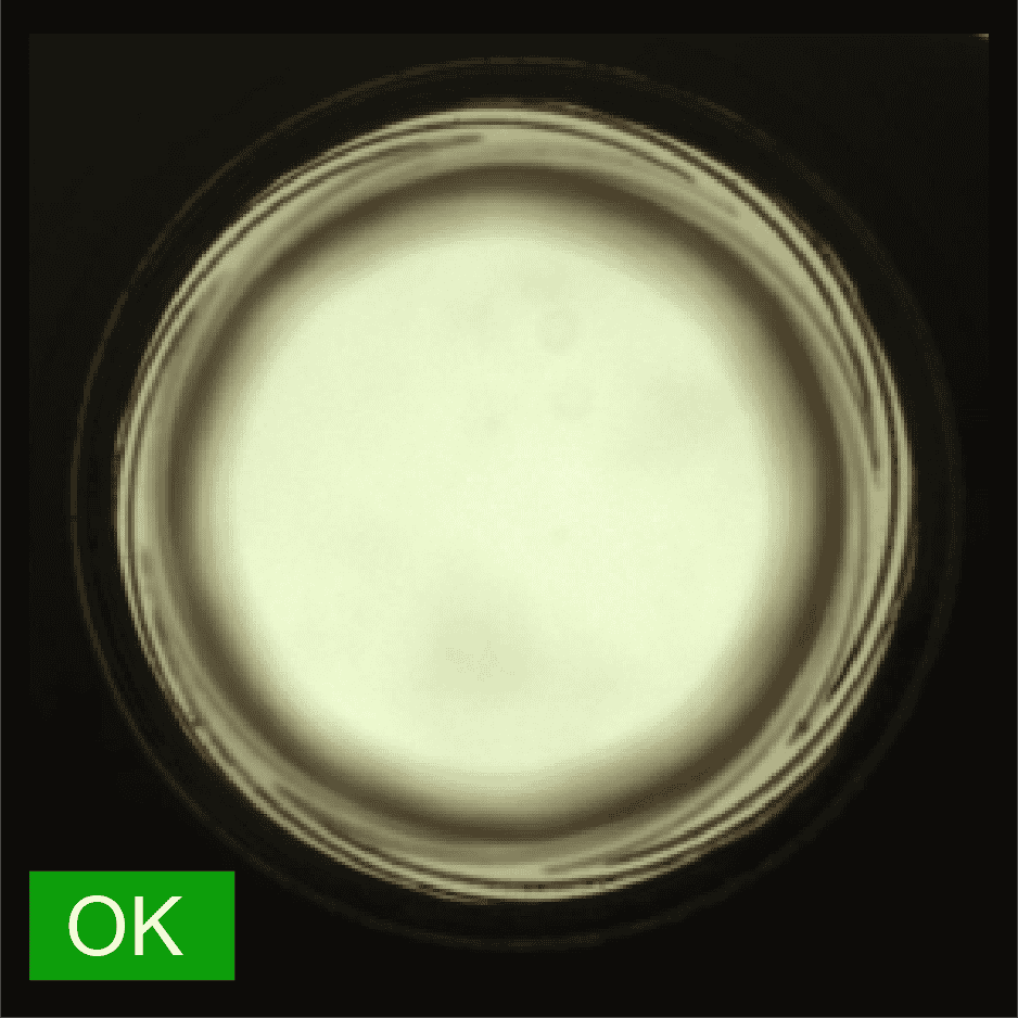 Normal Normal bearing without any defects